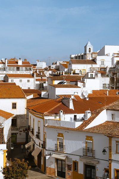 Uitzicht over Évora, Alentejo van Michiel Dros
