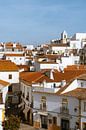Uitzicht over Évora, Alentejo van Michiel Dros thumbnail