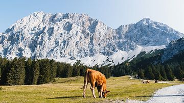 Zugspitze Arena Tirol van Rob van Dongen