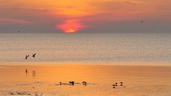 Zonsondergang te Harlingen