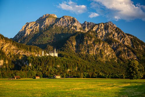 Kasteel Neuschwanstein in het avondlicht in Schwangau / Beieren / Duitsland