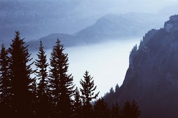 Vallée des brouillards sur Nico Garstman