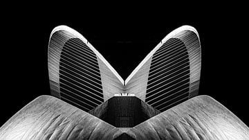 Dach der Oper von Santiago Calatrava in schwarz-weiss in Valencia Spanien von Dieter Walther