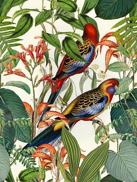 Exotic Birds In Tropical Paradise