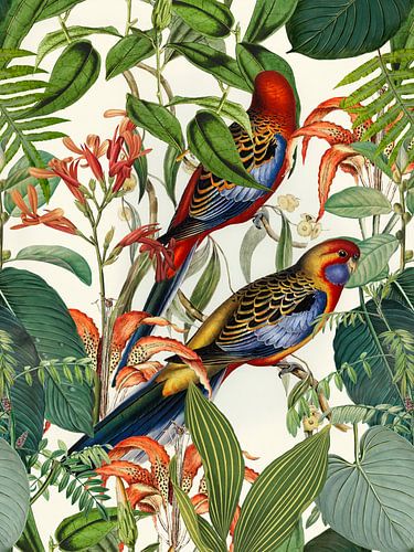 Vögel im Tropenparadies sur Andrea Haase