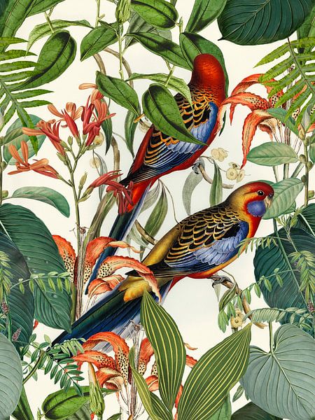 Vogels in tropisch paradijs van Andrea Haase