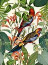 Vogels in tropisch paradijs van Andrea Haase thumbnail
