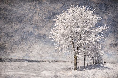 Sneeuw foto met abstracte achtergrond 2