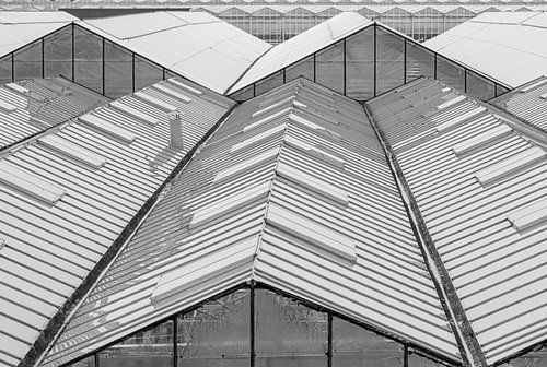 Straight and angled lines