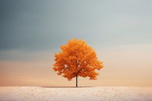 Ästhetischer Minimalismus