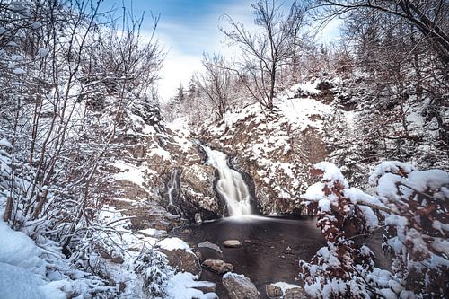 La cascade du Bayehon couverte de neige