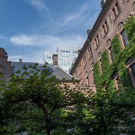 Tuin van het stadhuis Rotterdam. van Mr. Rotterdam