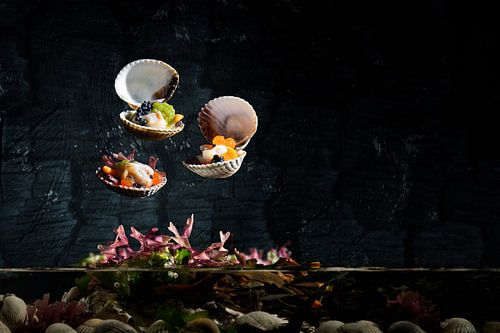 Wad's & Sea, kokkels uit de Waddenzee