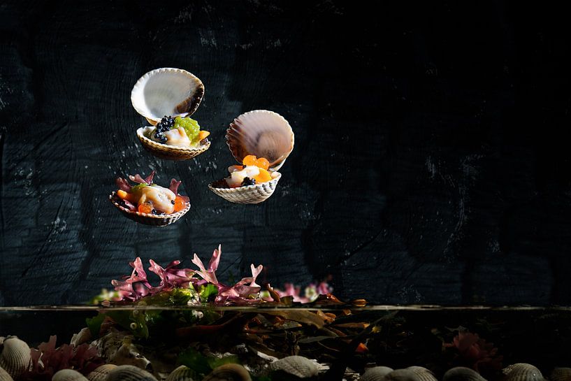Wad's &amp; Sea, kokkels uit de Waddenzee van Froukje Smith