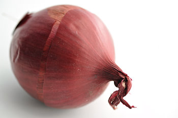 Rote Zwiebel mit weißem Hintergrund