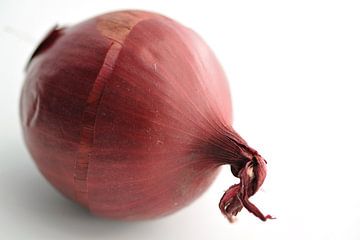 Red onion with white background by Edith Wijte