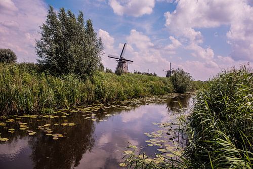 Windmolens aan de Kinderdijk.