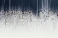 Winterfair