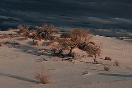 White Sands National Monument New Mexico USA