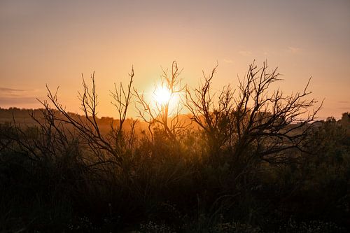 Zonsondergang op de Heide