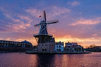 Windmill Adriaan, Haarlem