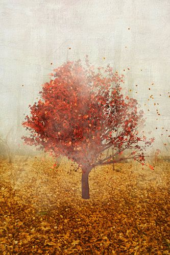 Loslaten - Eenzame boom in de herfstwind