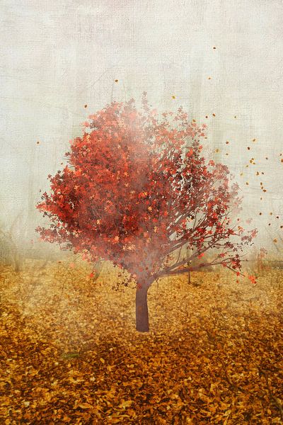 Let Go - Lone Tree in Autumn Breeze by Dirk Wüstenhagen