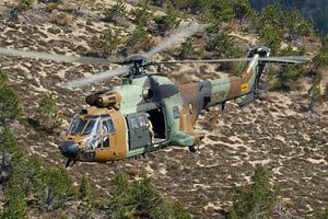 Armée espagnole AS532 Cougar