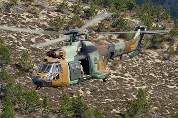 Spanish Army AS532 Cougar by Dirk Jan de Ridder - Ridder Aero Media