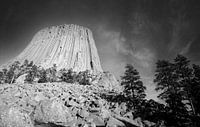 Analog bw photo of the Devils Tower between trees, Wyoming