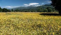 June extremadura