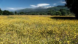 Extrémadure de juin
