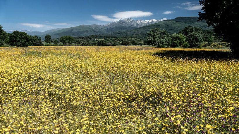 June extremadura by t.a.m. postma