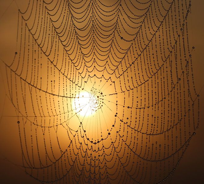 Sunrise by Matthias Brix