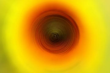 Sunflower, digital art by ines meyer