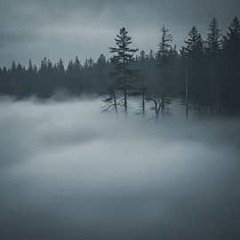 Das Hervortreten aus dem stillen Nebel von Artistic