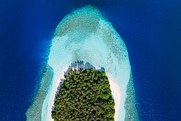 Palm Island by Tilo Grellmann