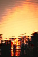 Summer sunset reflected in the lake