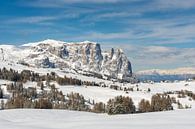 L'hiver sur l'Alpe di Siusi par Michael Valjak Aperçu