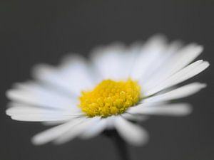 Das Kleine genießen