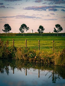 Watertoren in de horizon van Tim Breeschooten