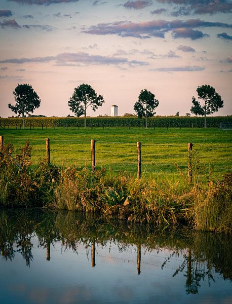 Water tower in the horizon by Tim Breeschooten