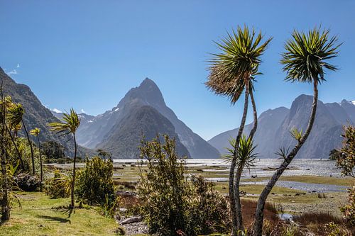 Milford Sound en Mitre Peak, Nieuw Zeeland