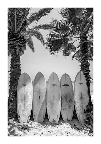 Surfplanken op een palmstrand in zwart-wit
