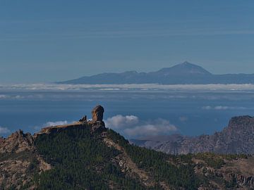 Uitzicht op Roque Nublo, Gran Canaria van Timon Schneider