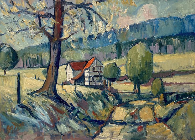 Half-timbered house by Nop Briex