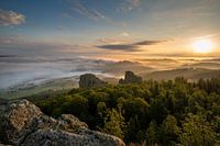 Sunrise in the forest