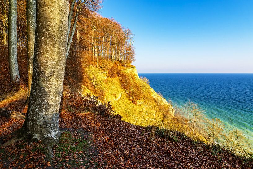 Krijtrotsen in de herfst aan de kust van de Oostzee op het eiland R van Rico Ködder