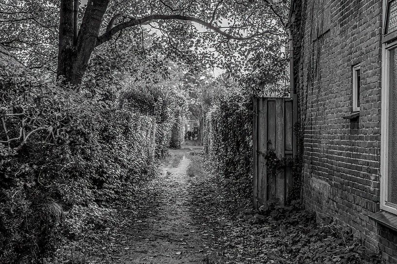 Gemert's path with vista. by Huub de Bresser