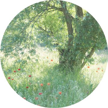 Een romantisch plekje (een mooi plekje met een wilgenboom en klaprozen en grassen) van Birgitte Bergman